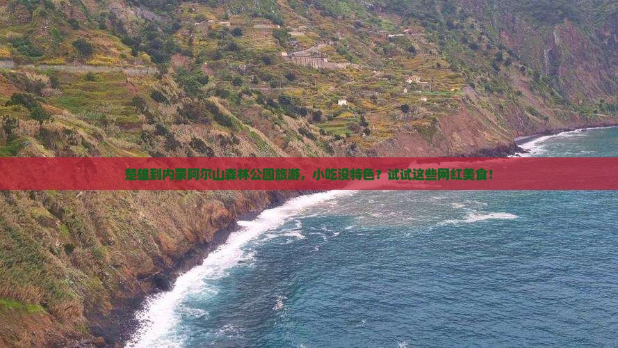 楚雄到内蒙阿尔山森林公园旅游，小吃没特色？试试这些网红美食！