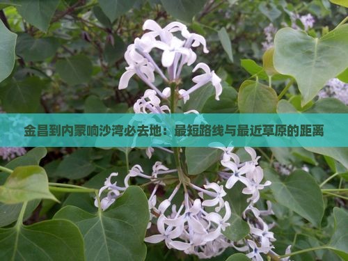 金昌到内蒙响沙湾必去地：最短路线与最近草原的距离