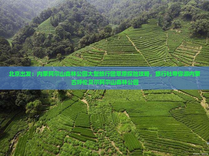 北京出发：内蒙阿尔山森林公园大型旅行团草原探险攻略，旅行社带你游内蒙古呼伦贝尔阿尔山森林公园