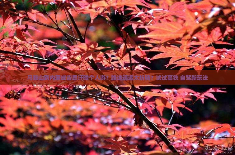 马鞍山到内蒙成吉思汗陵个人游？路途遥远太折腾？试试高铁+自驾新玩法