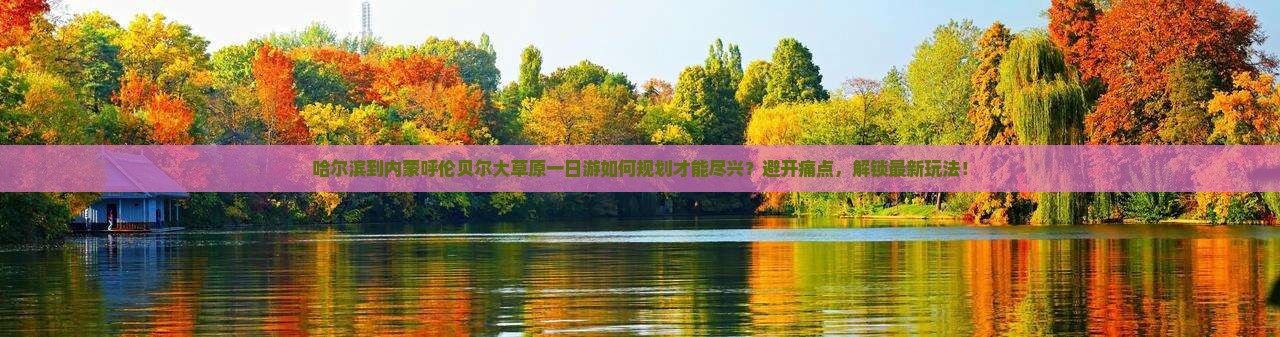 哈尔滨到内蒙呼伦贝尔大草原一日游如何规划才能尽兴？避开痛点，解锁最新玩法！