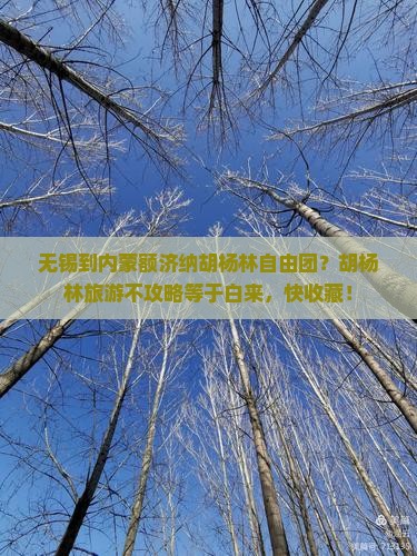 无锡到内蒙额济纳胡杨林自由团？胡杨林旅游不攻略等于白来，快收藏！