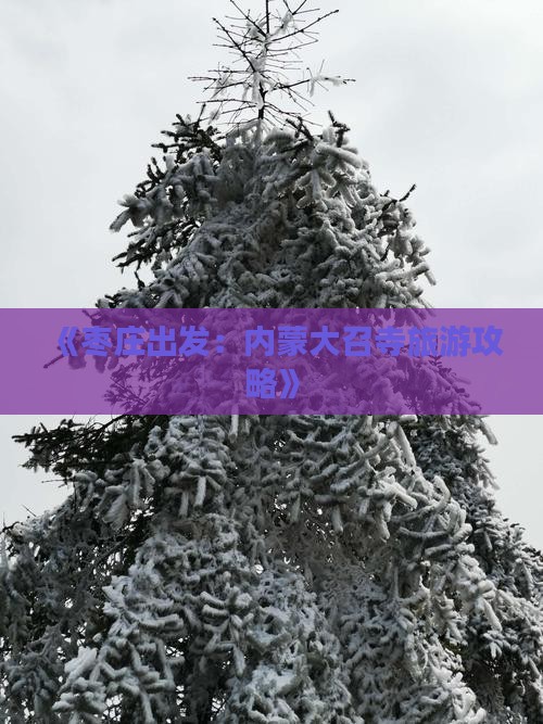 《枣庄出发：内蒙大召寺旅游攻略》