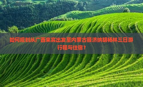 如何规划从广西来宾出发至内蒙古额济纳胡杨林三日游行程与住宿？