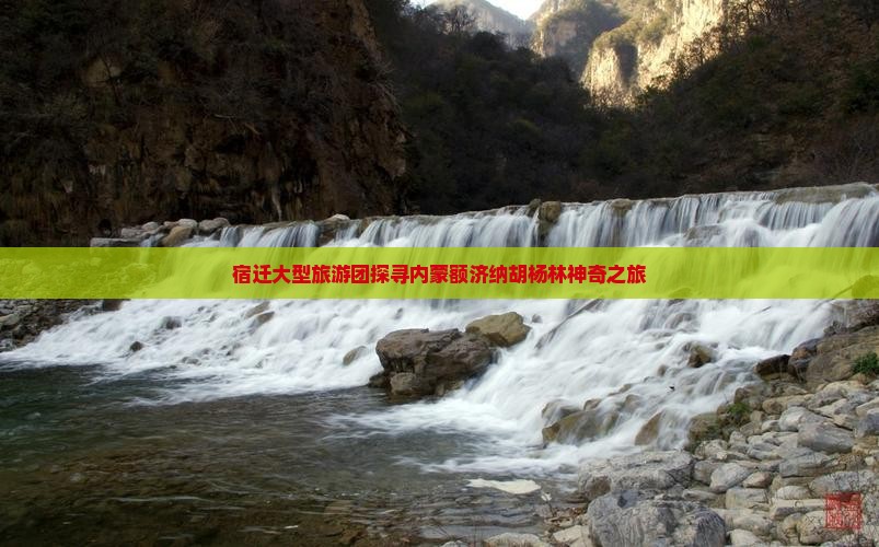 宿迁大型旅游团探寻内蒙额济纳胡杨林神奇之旅