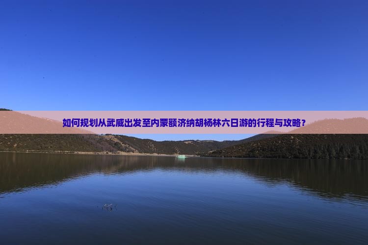 如何规划从武威出发至内蒙额济纳胡杨林六日游的行程与攻略？