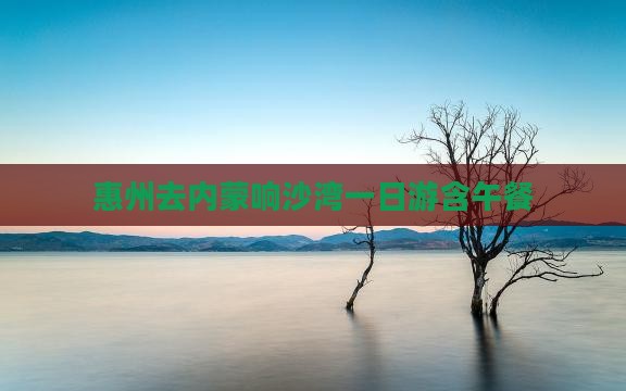 惠州去内蒙响沙湾一日游含午餐