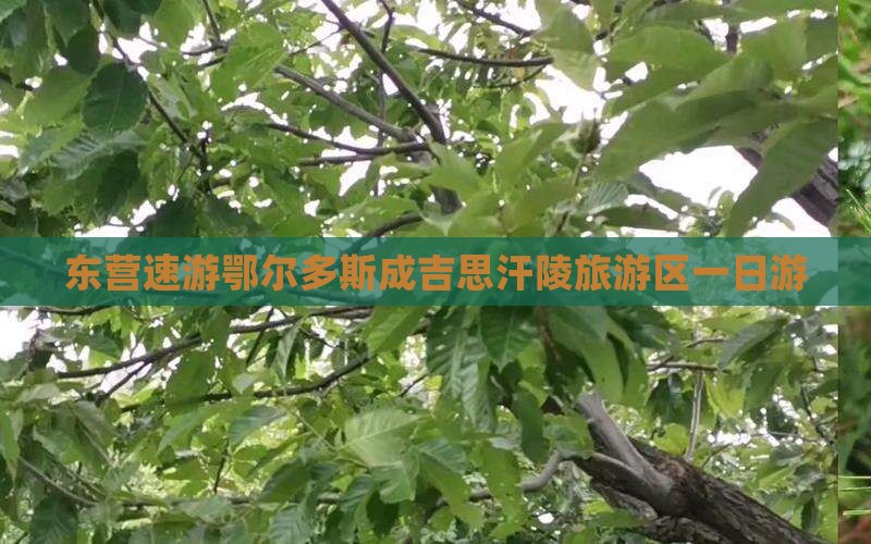 东营速游鄂尔多斯成吉思汗陵旅游区一日游