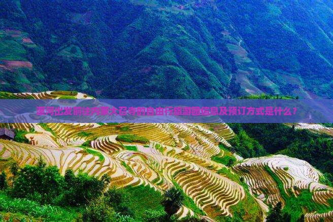 漯河出发前往内蒙大召寺的自由行旅游团信息及预订方式是什么？