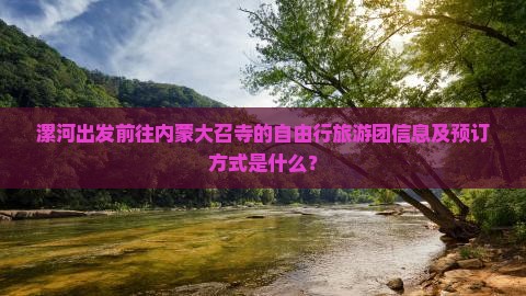 漯河出发前往内蒙大召寺的自由行旅游团信息及预订方式是什么？