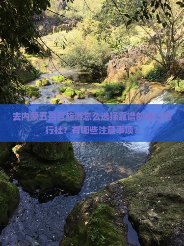 去内蒙五当召旅游怎么选择靠谱的海口旅行社？有哪些注意事项？