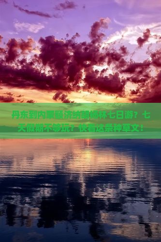 丹东到内蒙额济纳胡杨林七日游？七天假期不够玩？快看这条种草文！