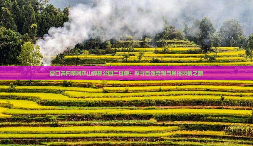 营口去内蒙阿尔山森林公园二日游：探寻自然奇观与民俗风情之旅