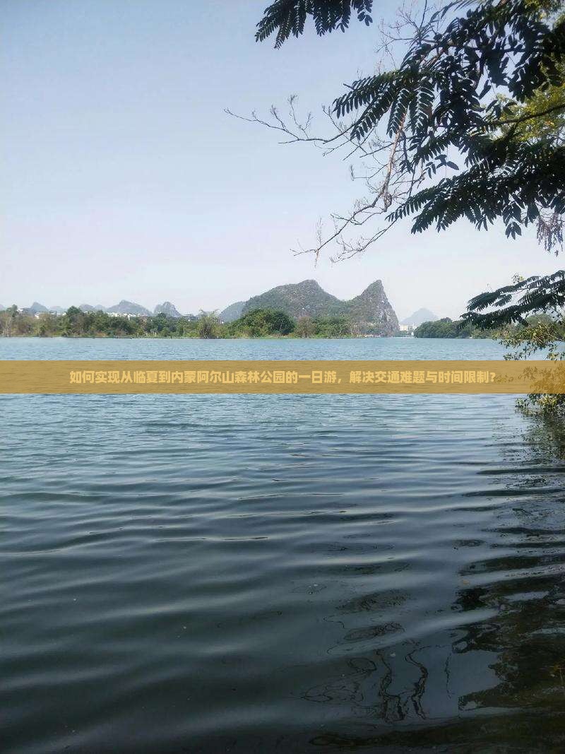 如何实现从临夏到内蒙阿尔山森林公园的一日游，解决交通难题与时间限制？