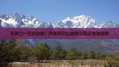 张家口一日游攻略：内蒙阿尔山森林公园深度游指南