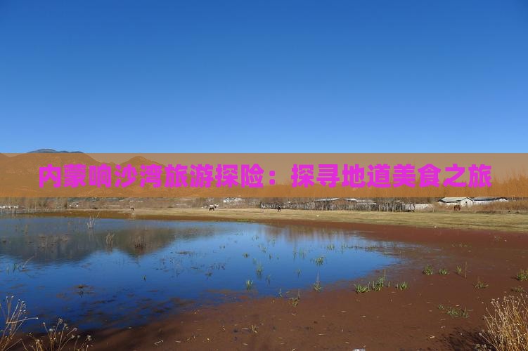 内蒙响沙湾旅游探险：探寻地道美食之旅