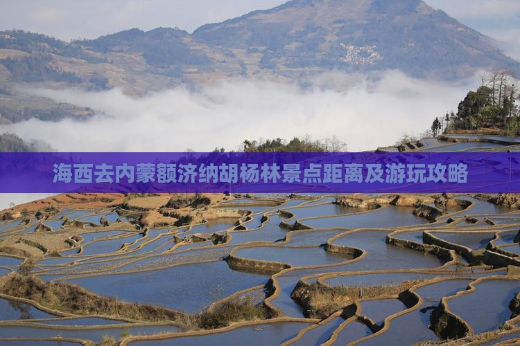 海西去内蒙额济纳胡杨林景点距离及游玩攻略