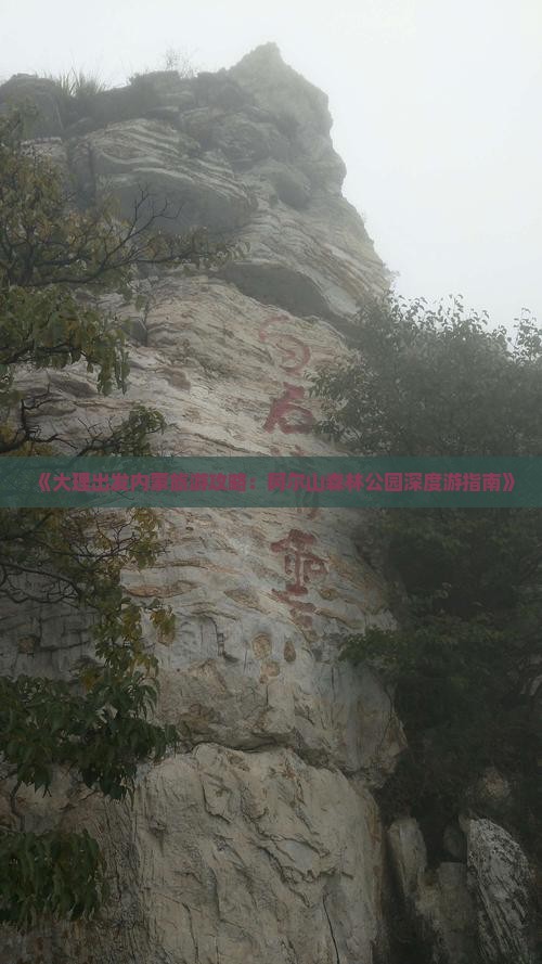 《大理出发内蒙旅游攻略：阿尔山森林公园深度游指南》
