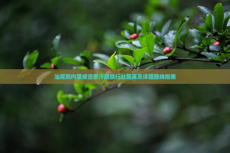 汕尾到内蒙成吉思汗陵旅行社距离及详细路线指南