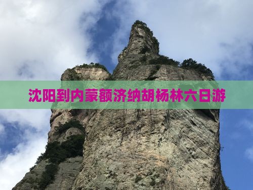 沈阳到内蒙额济纳胡杨林六日游