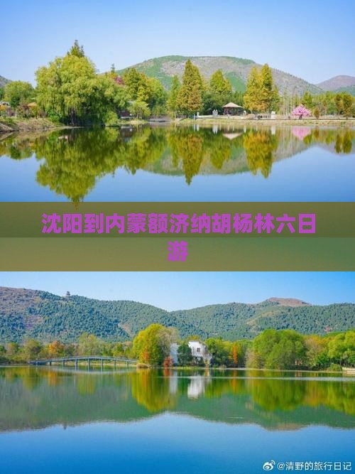 沈阳到内蒙额济纳胡杨林六日游