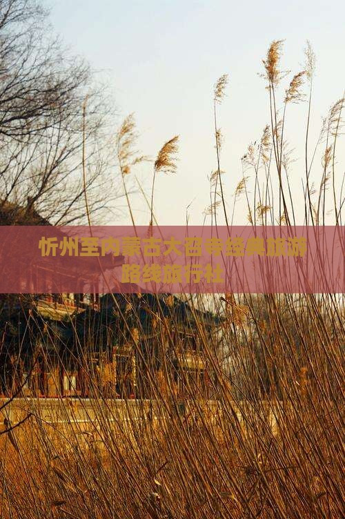 忻州至内蒙古大召寺经典旅游路线旅行社