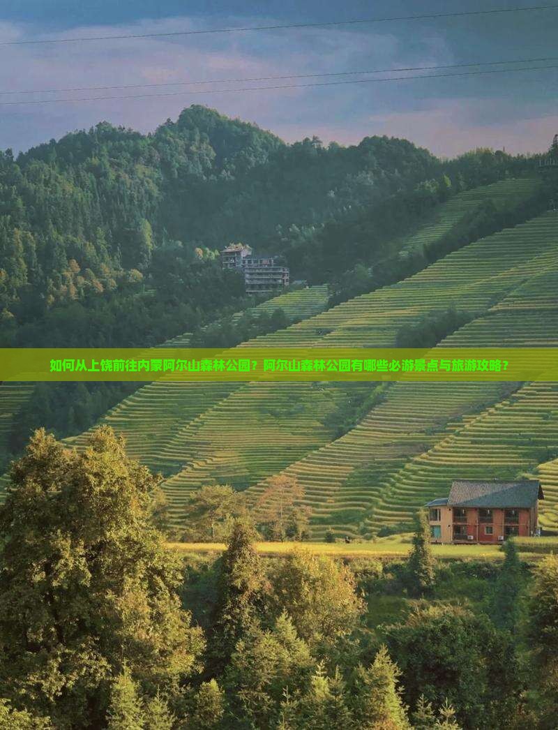 如何从上饶前往内蒙阿尔山森林公园？阿尔山森林公园有哪些必游景点与旅游攻略？