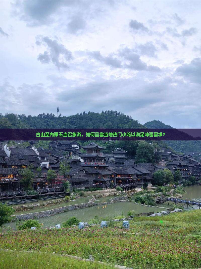 白山至内蒙五当召旅游，如何品尝当地热门小吃以满足味蕾需求？