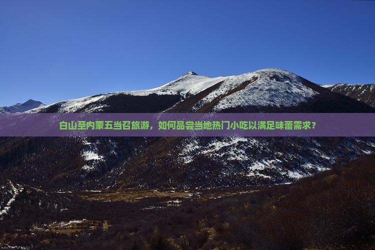 白山至内蒙五当召旅游，如何品尝当地热门小吃以满足味蕾需求？