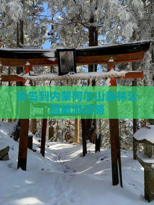 青岛到内蒙阿尔山森林公园旅游攻略