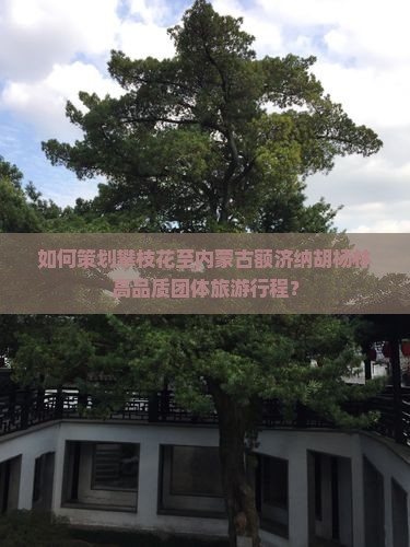 如何策划攀枝花至内蒙古额济纳胡杨林高品质团体旅游行程？