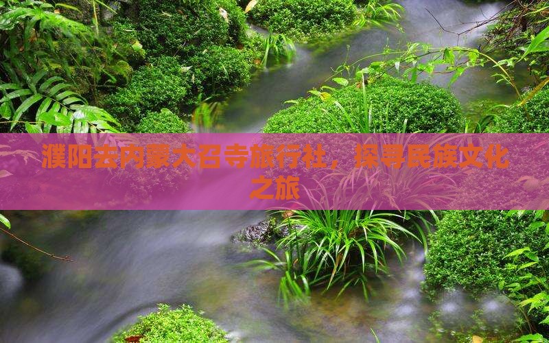 濮阳去内蒙大召寺旅行社，探寻民族文化之旅