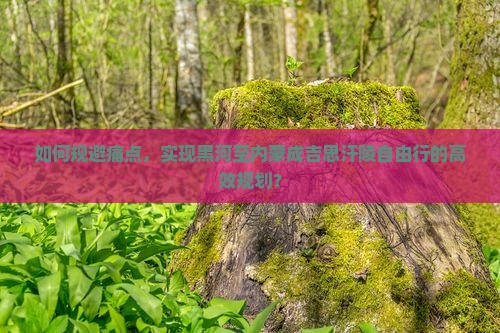 如何规避痛点，实现黑河至内蒙成吉思汗陵自由行的高效规划？