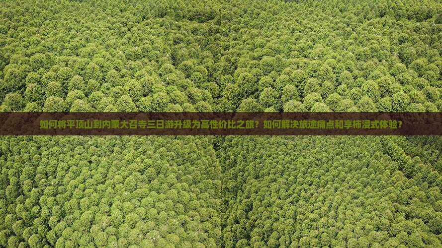 如何将平顶山到内蒙大召寺三日游升级为高性价比之旅？如何解决旅途痛点和享柿浸式体验？