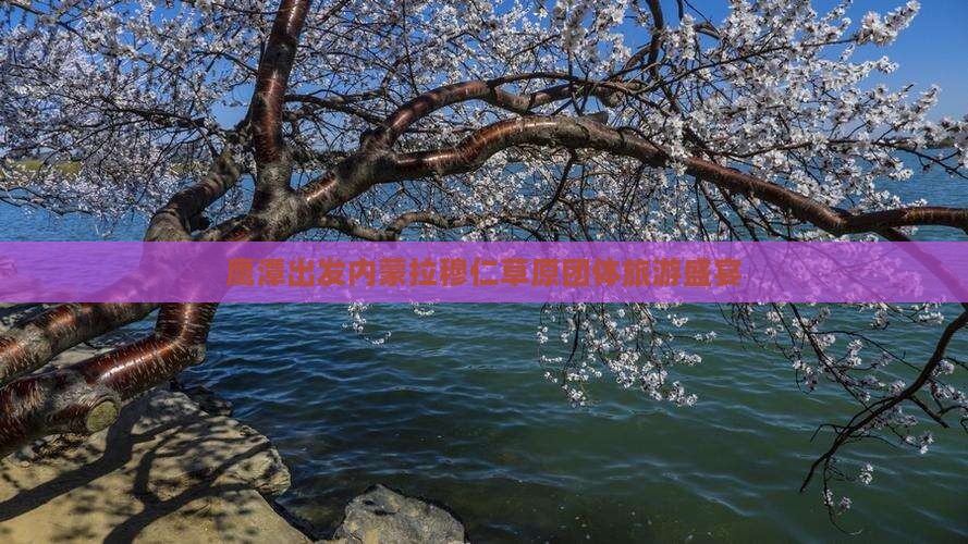 鹰潭出发内蒙拉穆仁草原团体旅游盛宴
