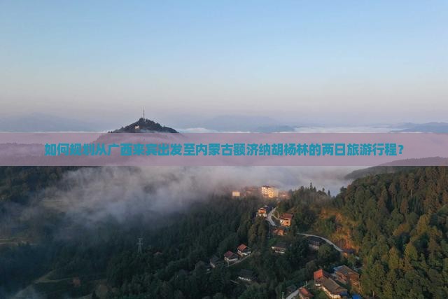 如何规划从广西来宾出发至内蒙古额济纳胡杨林的两日旅游行程？