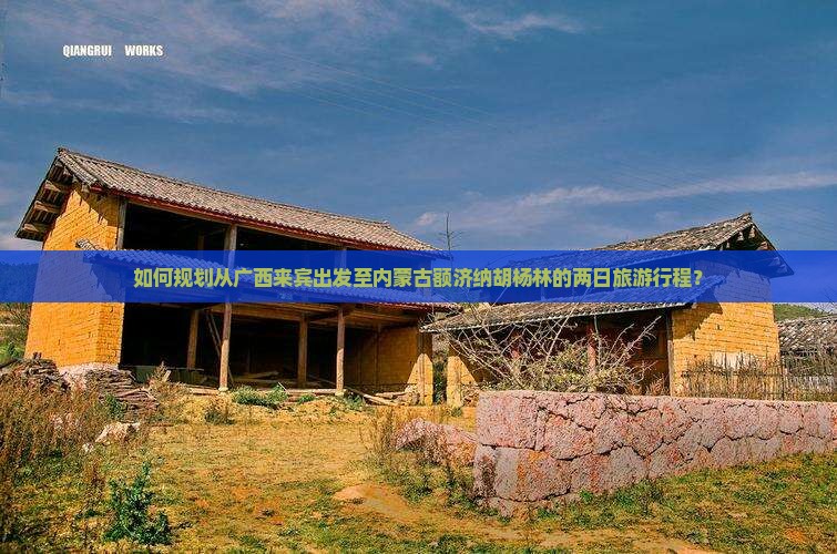 如何规划从广西来宾出发至内蒙古额济纳胡杨林的两日旅游行程？