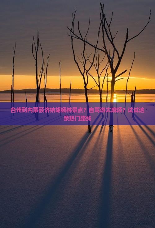 台州到内蒙额济纳胡杨林景点？自驾游太麻烦？试试这条热门路线