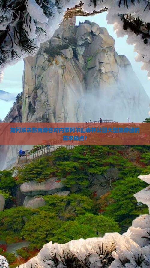如何解决黔南游客对内蒙阿尔山森林公园大型旅游团的需求痛点？