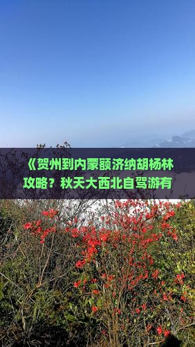 《贺州到内蒙额济纳胡杨林攻略？秋天大西北自驾游有啥需要注意的？》