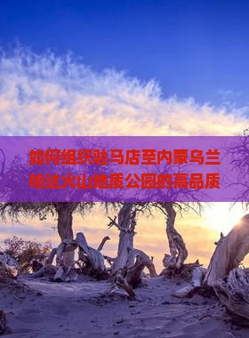 如何组织驻马店至内蒙乌兰哈达火山地质公园的高品质团体旅游，解决同行痛点，融入户外探险新潮流？