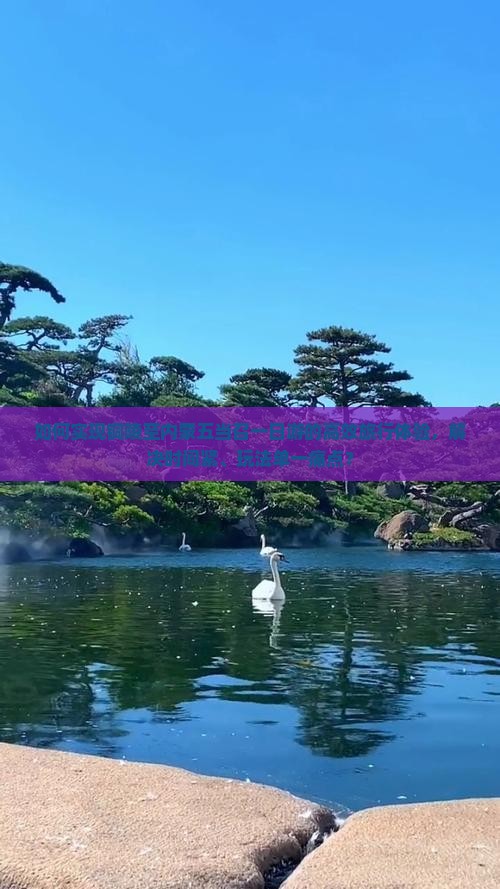 如何实现铜陵至内蒙五当召一日游的高效旅行体验，解决时间紧、玩法单一痛点？