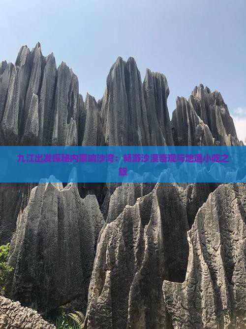 九江出发探秘内蒙响沙湾：畅游沙漠奇观与地道小吃之旅