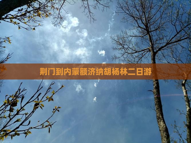 荆门到内蒙额济纳胡杨林二日游