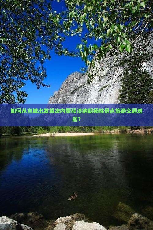 如何从宣城出发解决内蒙额济纳胡杨林景点旅游交通难题？