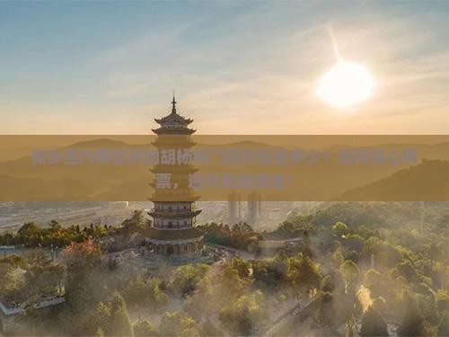 新乡至内蒙额济纳胡杨林门票价格是多少？如何省心购票，避开高峰拥堵？