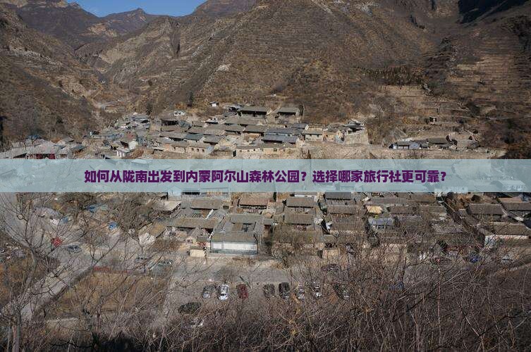 如何从陇南出发到内蒙阿尔山森林公园？选择哪家旅行社更可靠？