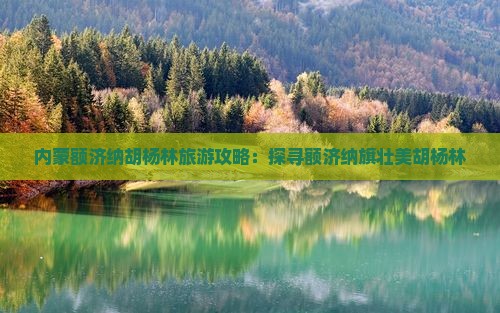 内蒙额济纳胡杨林旅游攻略：探寻额济纳旗壮美胡杨林