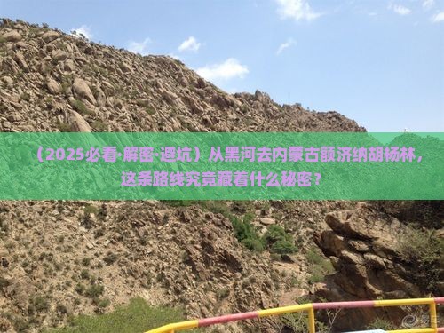 黑河到内蒙额济纳胡杨林攻略