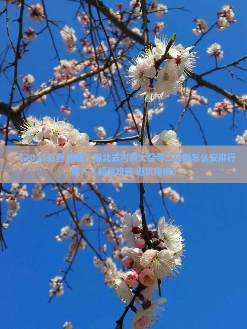 淮北去内蒙大召寺二日游
